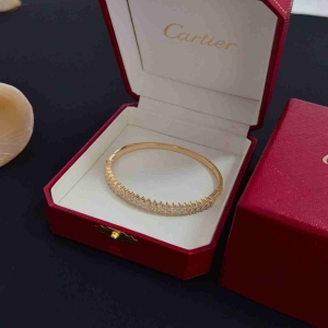 Brand Designer Women's Bangle 